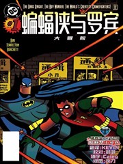 蝙蝠侠与罗宾大冒险