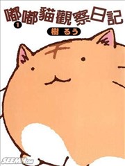 嘟嘟猫观察日记