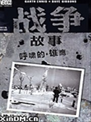 战争故事：呼啸的雄鹰