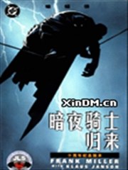 蝙蝠侠:暗夜骑士归来