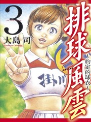 排球風雲~約定的球衣~