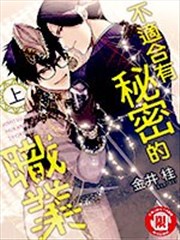 不适合有秘密的职业