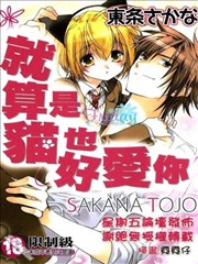 就算是猫也好爱你