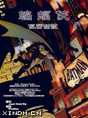 蝙蝠侠-似曾相识