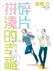 碎片拼凑的幸福