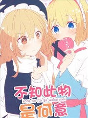 不知此物是何意