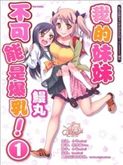 我的妹妹不可能是爆乳!