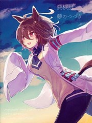 需验证・梦的延续