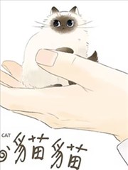掌心猫猫