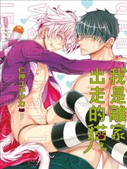 我是离家出走的猫