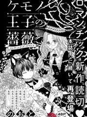 野兽王子的玫瑰