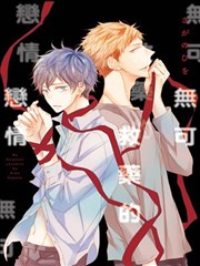 无可救药的恋情