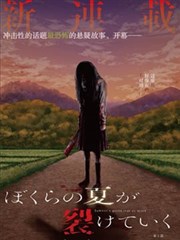 我们被撕裂的夏天