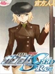 机动战士高达SEED RE