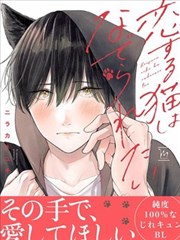 恋爱中的猫咪想被抚摸