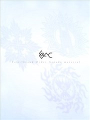 Fate/Grand Order Arcade material