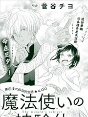 魔法使的研究對象