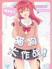 (C103) 猫狗大作战!