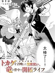 召唤蜥蜴(其实是神龙)的圣兽使，在龙背上的开拓生活