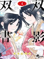 双影双书