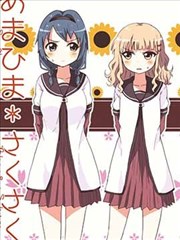 甜美的向日葵盛开的樱花