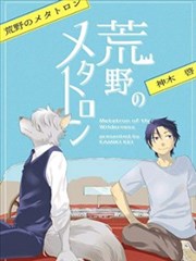 荒野的梅塔特隆