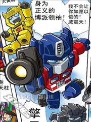 变形金刚：酷垒