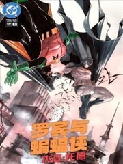 罗宾与蝙蝠侠：杰森·托德