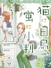 予猫以白鸟，予萤以金币