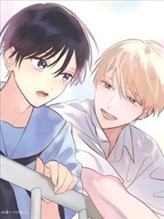 香莲碧水动风凉