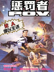 惩罚者：P.O.V.