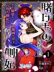 沦为筹码的侧妃