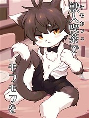 在兽人咖啡馆享受毛茸茸的疗愈