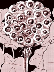 坑洼凹凸集合体