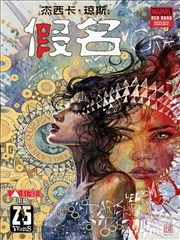 杰西卡·琼斯：假名-红标 