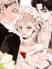 再见了，成为英雄的丈夫