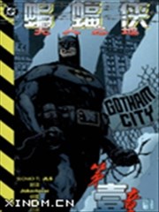 蝙蝠侠 无人之地