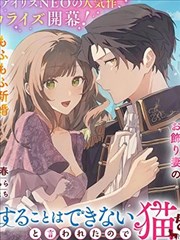 你不爱我那我去爱猫、但丈夫怎么变得怪怪的