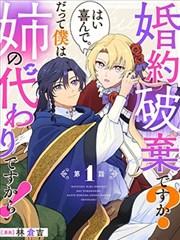 要解除婚约吗？好的，我很乐意。因为我只是姐姐的替身而已！