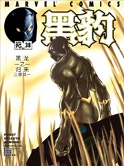黑豹V3