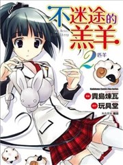 不迷途的羔羊