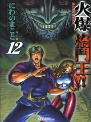 阵内流柔术流浪传~火爆格斗王!!~