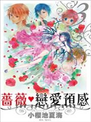 完美蔷薇Perfect Rose