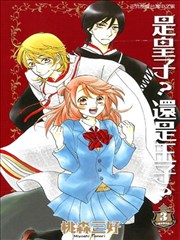 是皇子？还是王子？