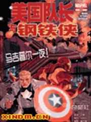 美国队长与钢铁侠