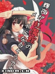 辉夜成为红魔馆的女仆了