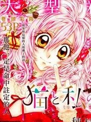 猫与我的星期五