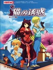 猫的诱惑
