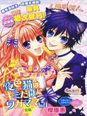 夜色猫咪只对你任性