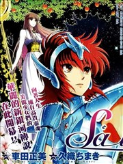 圣斗士星矢 圣斗少女翔